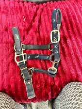 Foal slip collar
