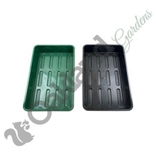 Premium Solid Rigid Seed