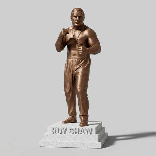 Roy pretty boy shaw statue - roy,