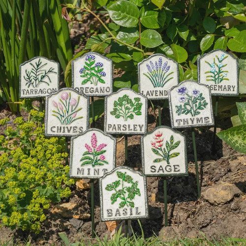 Forét cast iron - herb, garden