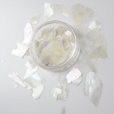 Crushed Shell Fragments Pieces