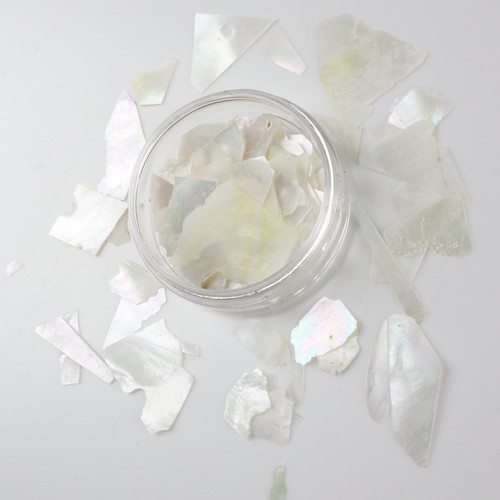 Crushed shell fragments - crushed,