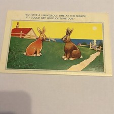 saucy seaside postcard