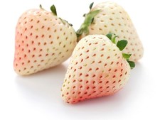 3x White Snow Strawberry Jumbo