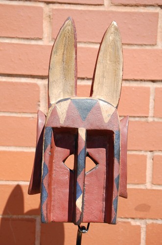 Medium dogon lievre - medium, or