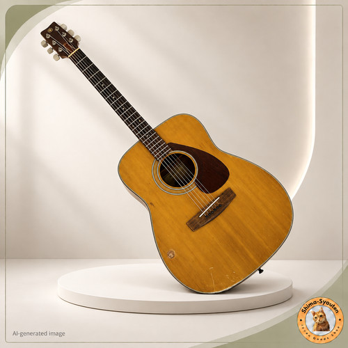 Yamaha acoustic guitar 160 - yamaha,