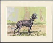 CHINESE CRESTED VINTAGE STYLE