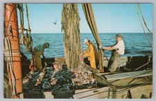 Postcard Commercial Fishing