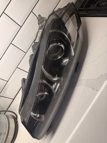 Jaguar near side light - side,