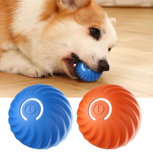 Interactive silicone electric - interactive,