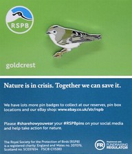 Rspb pin badge - badge, goldcrest
