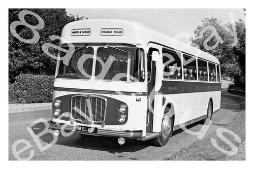 Bus photograph hants dorset - bus,