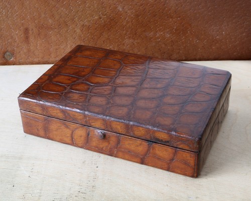 Antique crocodile case - crocodile,