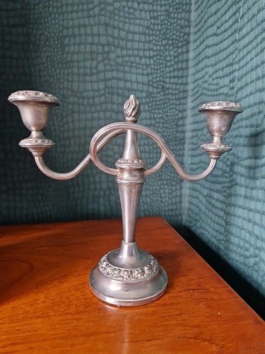 Vintage ianthe silver - vintage, 2