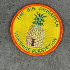 Vintage Giant BIG Pineapple GYMPIE Queensland Australia Embroidered Patch Badge