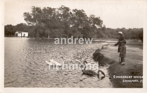 Chingford connaught water - connaught,
