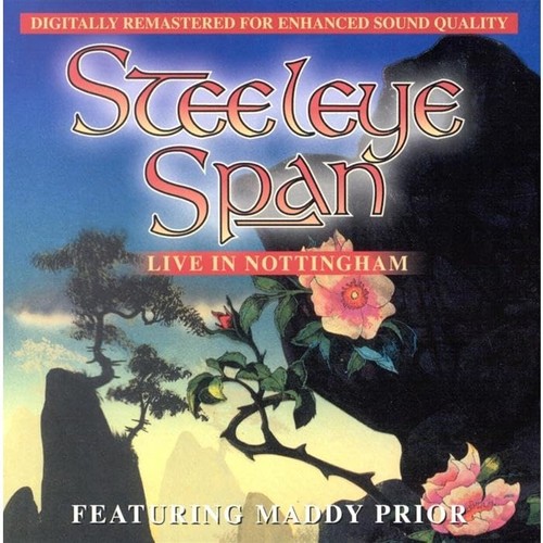 Steeleye span - span,