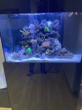 Marine Aquarium