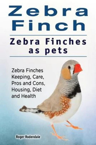 Zebra finch finches - zebra,