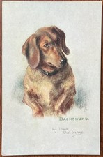 ARTIST SIGNED PPC PORTRAIT OF DACHSHUND BY MAUD WEST WATSON SKETCHES OF DOGGIES