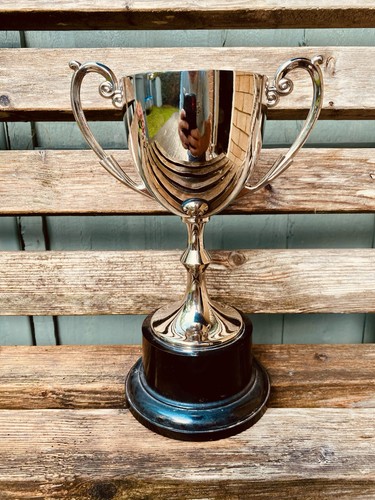 Silver trophy 25 - silver,