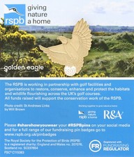 RSPB Pin Badge GNaH Special
