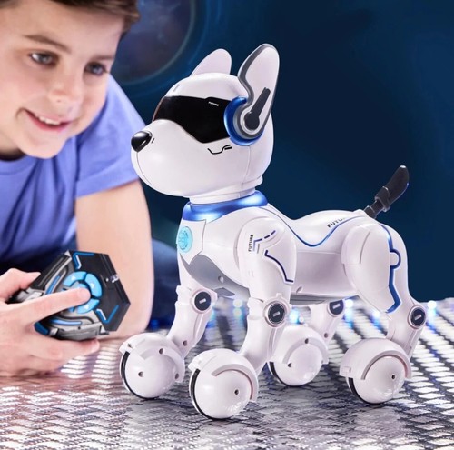 Ziggy the robo dog - responds, to