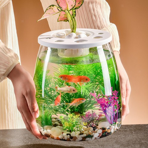 Fish bowl decorative - bowl,
