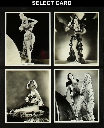 Modern beauties 8th bat - beauties,