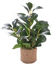 12.6" Fake Plants in Brown