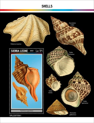 Shells mnh stamps 2023 - shells,