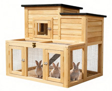 Rabbit Hutch Outdoor Indoor