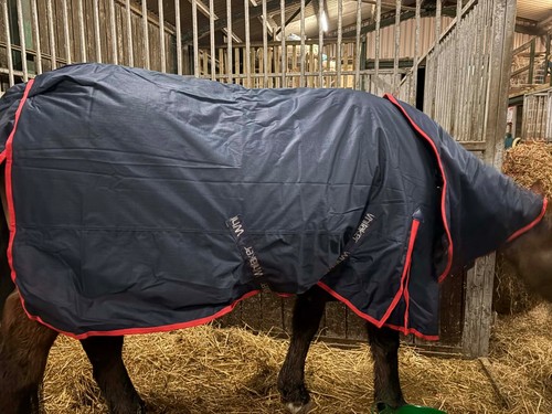 John whitaker turnout rugs - john,