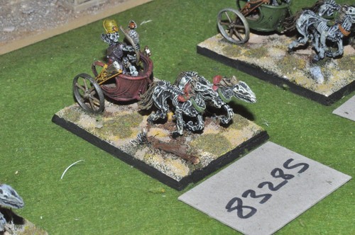 28mm fantasy tomb kings 1 - /,