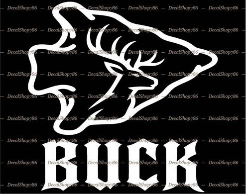 Buck arrowhead - in,