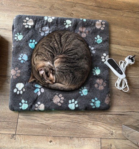 Pet heating pad - pad, electric