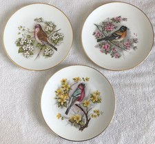 Royal Worcester Porcelain