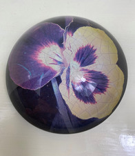 ? Dome-Shaped Floral Paperweight – Encased Pansy – 255g, 9cm Diameter