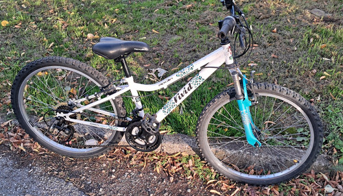Apollo vivid girls 24in wheel - vivid,