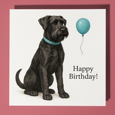 Giant Schnauzer  Dog Happy