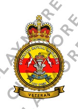 9th-12th Royal Lancers VETERAN