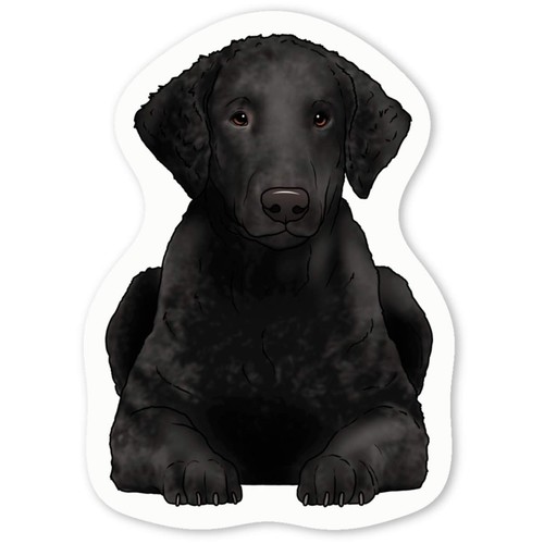 Curly coated retriever decal - retriever',