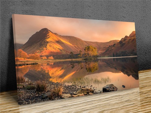 Buttermere lone tree mist - lone,