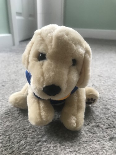 Andrex guide dog puppy - dog, in