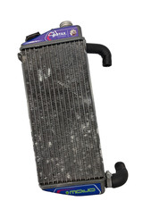 Rotax Max Evo Genuine Silver