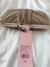 Phase Eight Macy Jewel clasp Champagne Colour Clutch/ Shoulder Bag BNWT