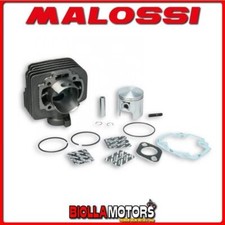 317137 CYLINDER MALOSSI 65CC