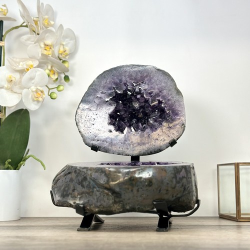 Huge polished amethyst geode - polished,
