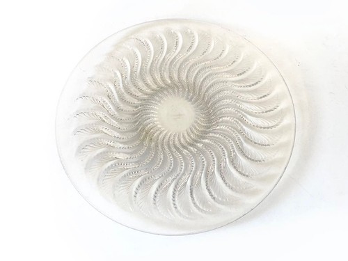 Lalique actinia shallow - actinia,