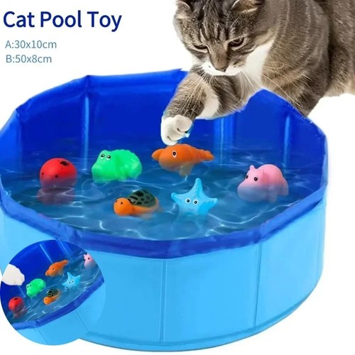 Large pet bath - pet, dog
